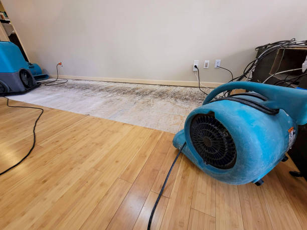 Professional Structural Drying technician working in Waverly Hall, GA